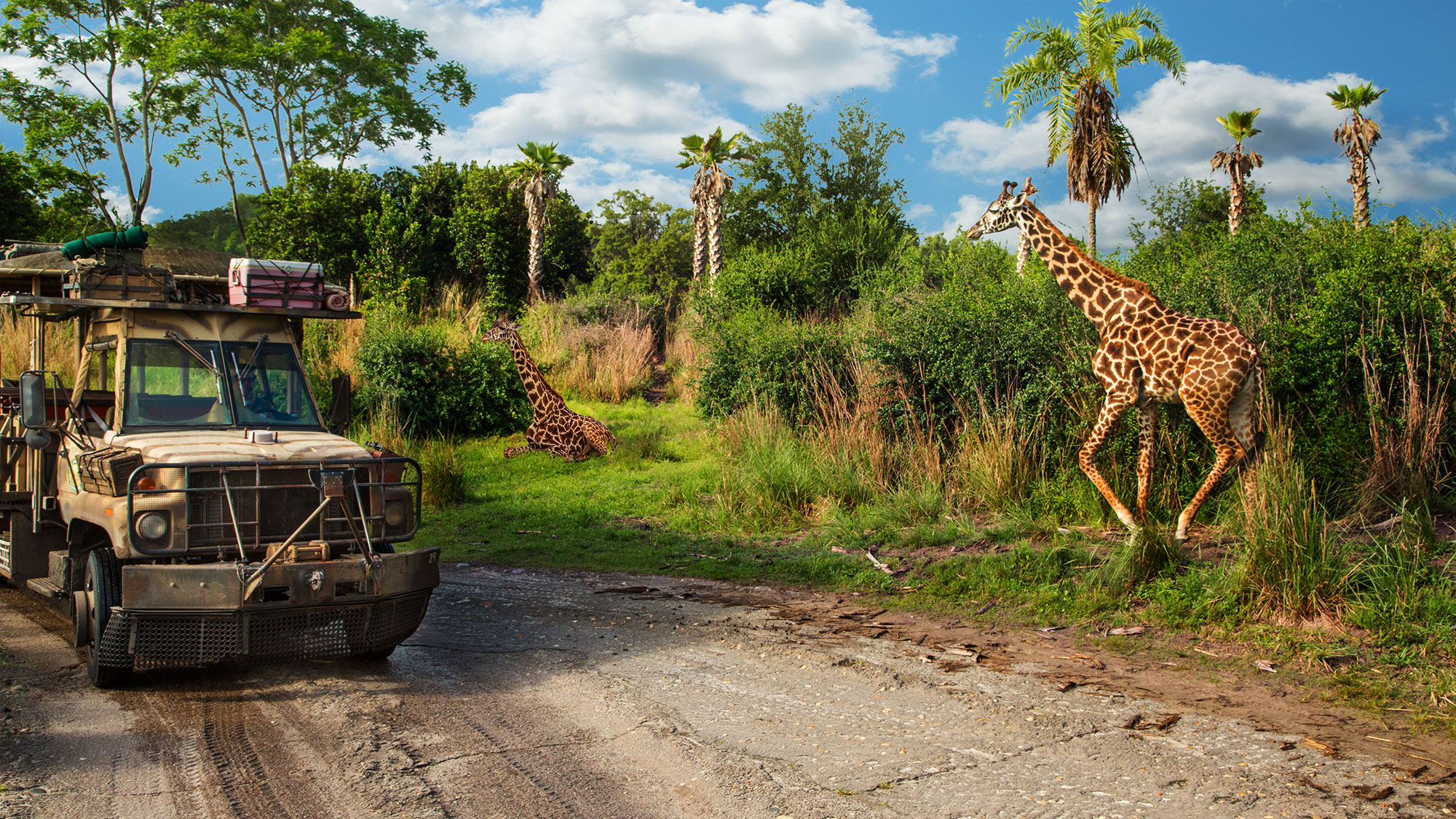 kilimanjaro-safaris-gallery02